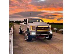 North Georgia Lighting Sequential Switchback LED Grille Strip Lights (15-17 F-150 Limited)