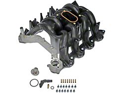 Intake Manifold (00-03 5.4L F-150, Excluding Supercharged)