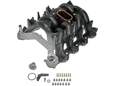 Intake Manifold (00-03 5.4L F-150, Excluding Supercharged)