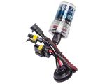 Oracle 8000K Xenon HID Bulb; H9 