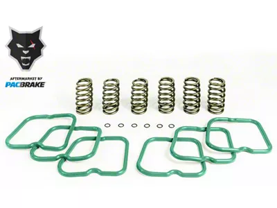 Pacbrake Basic Spring Kit; 6 Springs (94-98 5.9L I6 RAM 2500)