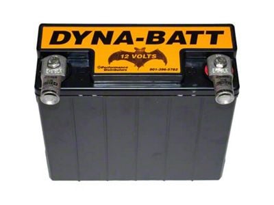 Performance Distributors Dyna-Batt-12 Volt Dry Cell Battery with 1/O Gauge Battery Terminals