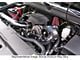 Procharger Stage II Intercooled Supercharger Complete Kit with P-1SC-1; Black Finish (99-06 5.3L Sierra 1500)