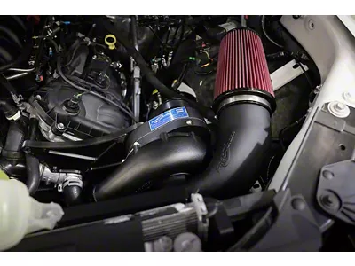 Procharger Stage II Intercooled Supercharger Complete Kit with P-1X; Satin Finish (24-25 5.0L F-150)