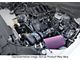 Procharger Stage II Intercooled Supercharger Complete Kit with P-1SC-1; Polished Finish (21-23 5.0L F-150)