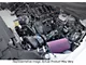 Procharger Stage II Intercooled Supercharger Complete Kit with P-1SC-1; Satin Finish (21-23 5.0L F-150)