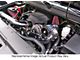 Procharger High Output Intercooled Supercharger Complete Kit with P-1SC; Black Finish (03-06 V8 Sierra 1500)