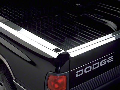 Putco Tailgate Guard; Stainless Steel (02-05 RAM 1500)