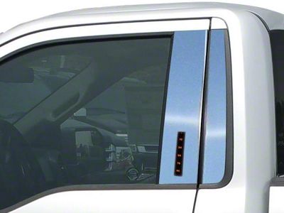 Pillar Post Trim without Keypad Opening; Stainless Steel (15-20 F-150 Regular Cab)