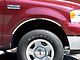 Wheel Well Accent Trim; Stainless Steel (04-08 F-150)
