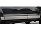 Rocker Panel Trim; Upper Kit; Stainless Steel (99-02 Silverado 1500 Regular Cab w/ 6.50-Foot Standard Box)