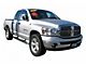5-Inch Premium Oval Side Step Bars; Stainless Steel (02-08 RAM 1500 Quad Cab)