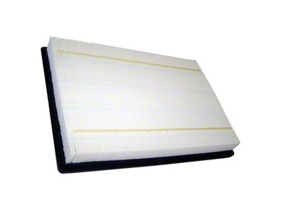 Air Filter (02-12 RAM 1500)