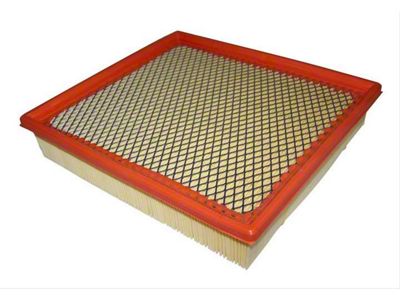 Air Filter (03-09 RAM 1500)