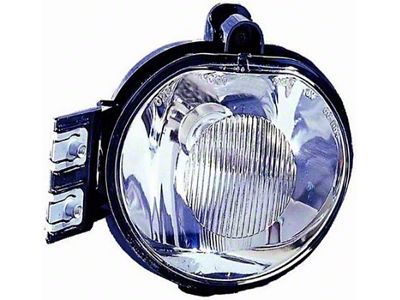 CAPA Replacement Fog Light; Driver Side (02-08 RAM 1500)