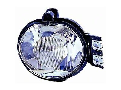 CAPA Replacement Fog Light; Passenger Side (02-08 RAM 1500)