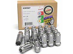 Chrome 6-Spline Lug Nut Kit; 9/16-Inch; Set of 20 (02-11 RAM 1500)