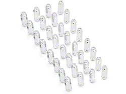 Chrome 7/8-Inch XL Acorn Lug Nut Kit; 9/16-Inch; Set of 32 (06-08 RAM 1500 Mega Cab)