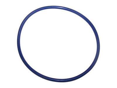 Cylinder Head O-Ring (02-13 3.7L, 4.7L RAM 1500)