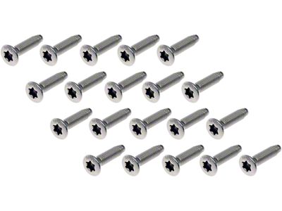 Door Hinge Screws; Stainless Steel (12-25 RAM 1500)