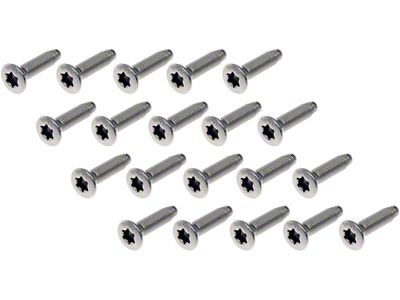 Door Hinge Screws; Stainless Steel (12-24 RAM 1500)