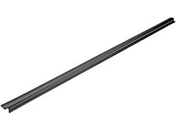 Door Window Seal; Front Right Outer (2002 RAM 1500)