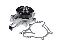 Engine Water Pump with Gasket and Pulley (94-03 RAM 1500, Excluding 5.7L)
