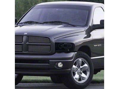 Factory Style Fog Lights; Clear (02-08 RAM 1500)