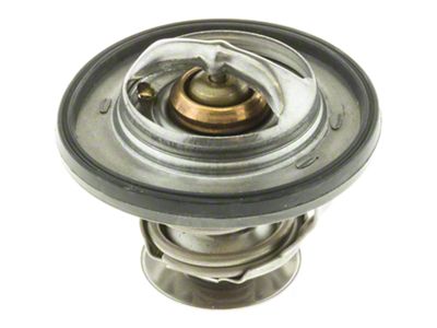 Fail-Safe Thermostat with Seal; 203-Degree (03-10 RAM 1500)