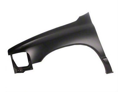 CAPA Replacement Fender; Front Driver Side (02-05 RAM 1500)