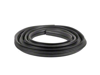 Front Door Weatherstrip Seal (02-08 RAM 1500)