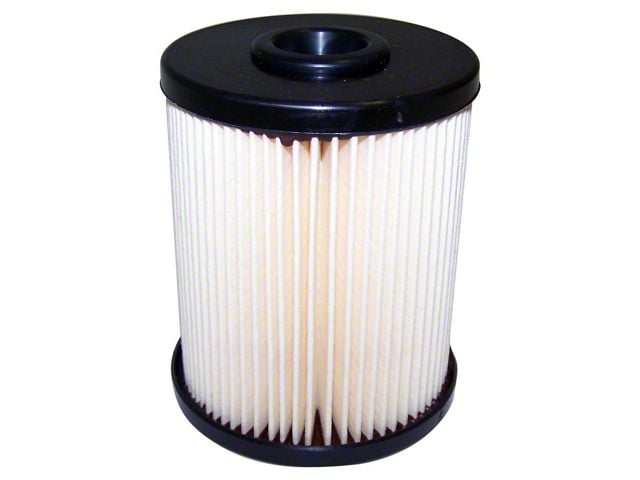 Fuel Filter (02-04 5.9L RAM 1500)