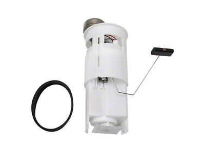 Fuel Pump and Sending Unit Assembly (02-03 RAM 1500)