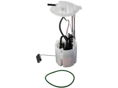 Fuel Pump and Sending Unit Assembly (09-10 3.7L, 5.7L RAM 1500)