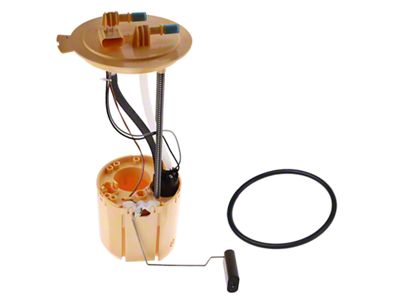 Fuel Pump Assembly (14-18 3.0L EcoDiesel RAM 1500)