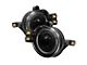 Halo Projector Fog Lights with Switch; Smoked (02-05 RAM 1500)
