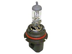 Headlight Bulb; 9007 (02-05 RAM 1500)