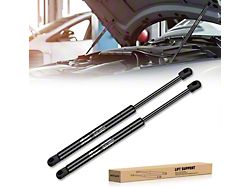Hood Lift Support Struts (02-08 RAM 1500)
