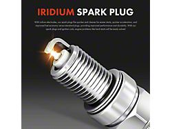 Ignition Coil Set with Iridium Spark Plugs; Black (19-20 3.6L RAM 1500)