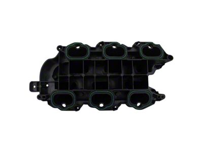 Intake Manifold; Lower; Plastic (13-18 3.6L RAM 1500)