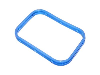 Intake Manifold Seal (08-11 4.7L RAM 1500)