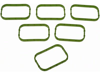 Lower Intake Manifold Gasket Kit (13-16 3.6L RAM 1500)