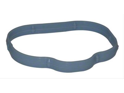 Lower Intake Manifold to Cylinder Head Gasket (13-17 3.6L RAM 1500)