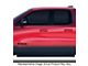 Painted Body Side Molding with Red Insert; Delmonico Velvet Red Pearl (19-24 RAM 1500 Quad Cab)