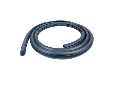 Rear on Body Door Seal (09-18 RAM 1500 Quad Cab)