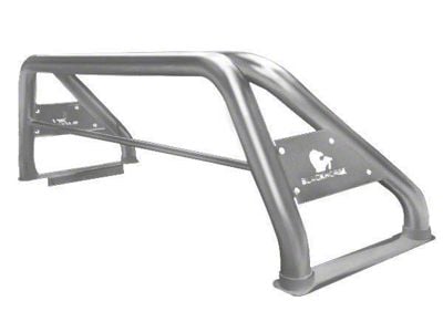 Classic Roll Bar with 50-Inch LED Light Bar; Stainless Steel (09-24 RAM 1500 w/o RAM Box)