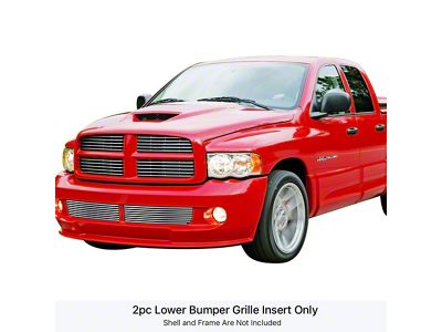 Stainless Steel Billet Lower Bumper Grille Overlay; Polished (04-06 RAM 1500 SRT-10)