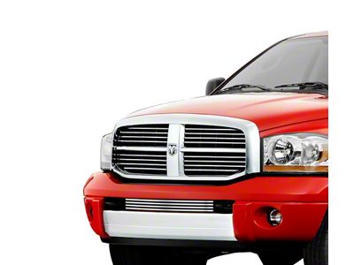 Stainless Steel Billet Lower Grille Insert; Chrome (06-08 RAM 1500)