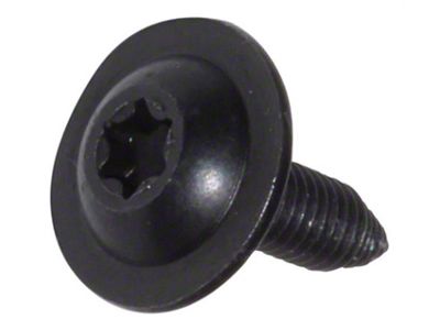 Tapping Screw (02-19 RAM 1500)