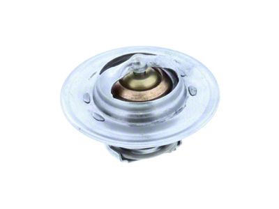 Thermostat; 160-Degree (94-03 RAM 1500)